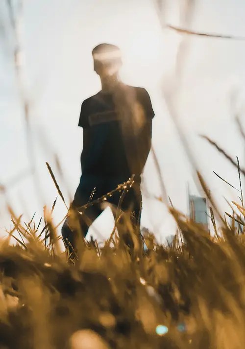Muž stojaci vo vysokej tráve so zapadajúcim slnkom za ním, vytvárajúci svetlé, hmlové pozadie.